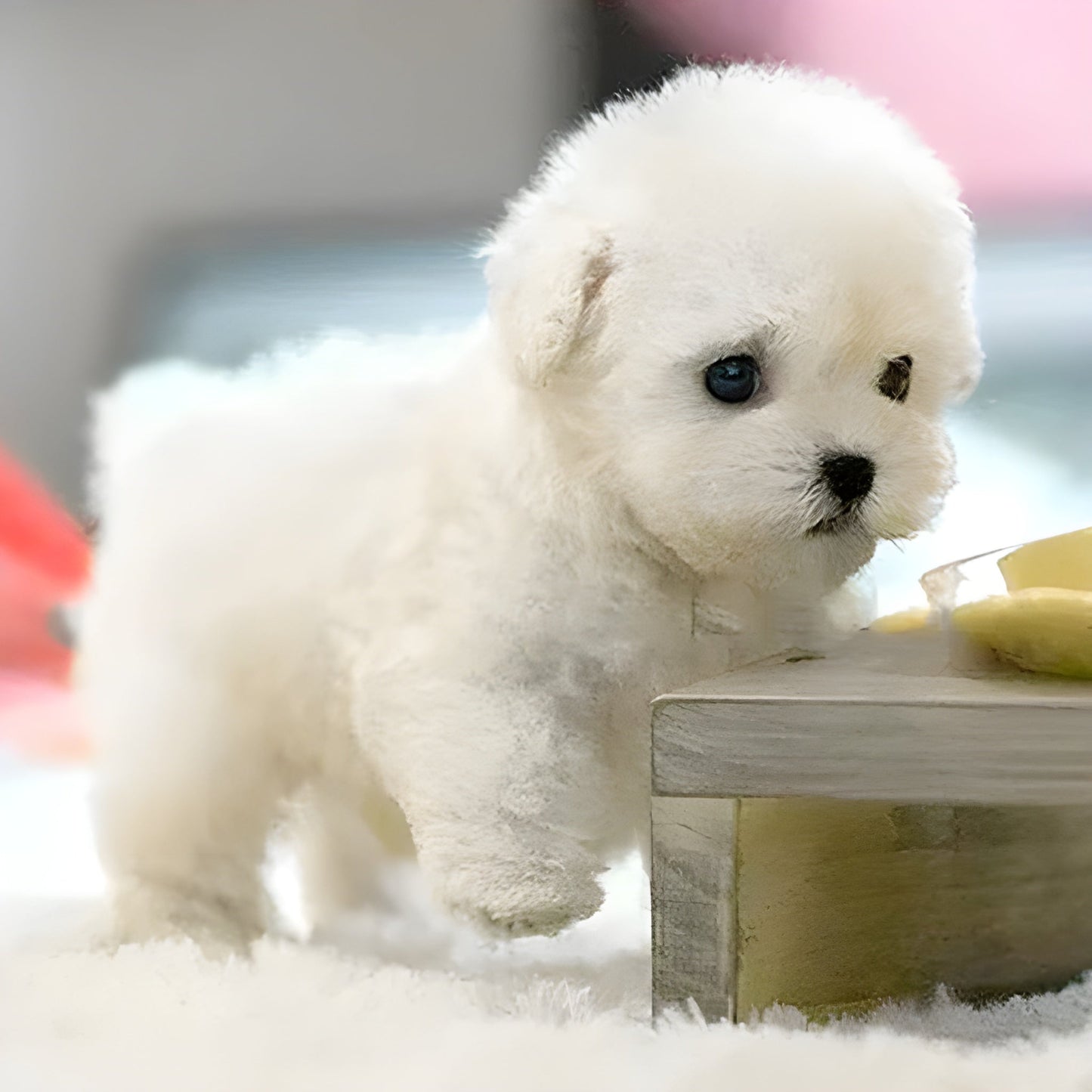Lovely™ | Cucciolo di cane robot originale e realistico